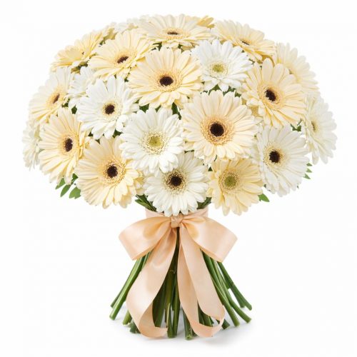 Гербера микс 2