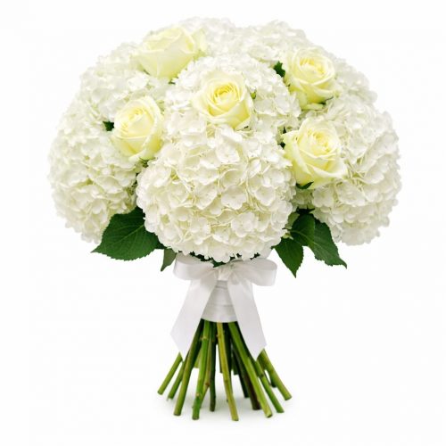 Гортензия белая