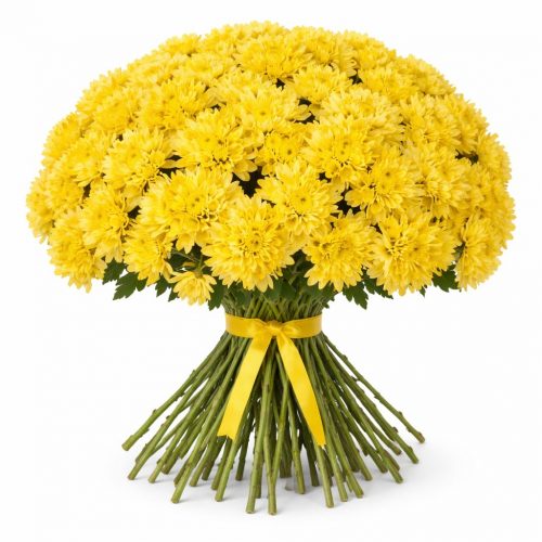 Хризантема кустовая желтая