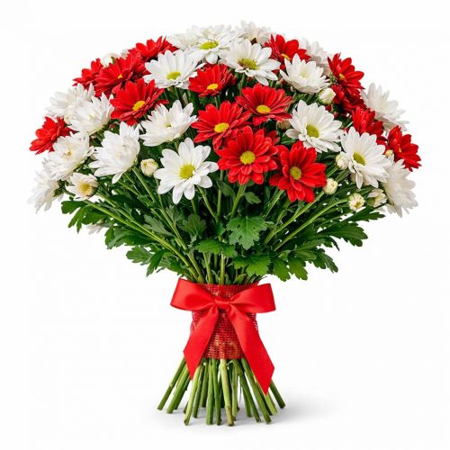 Хризантема кустовая микс 1