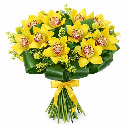 Орхидея желтая