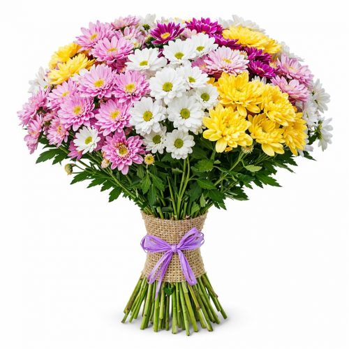 Ромашка микс 1