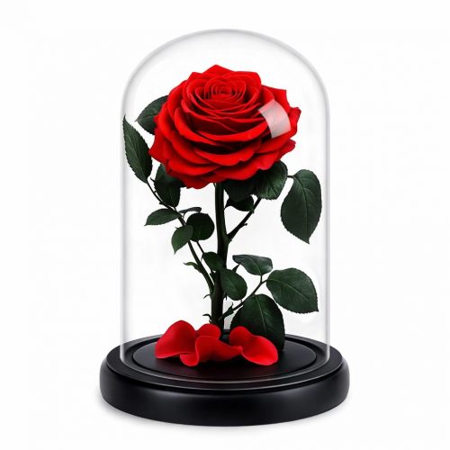 Роза в колбе красная