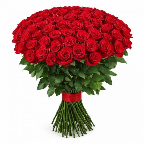 Розы Эквадор красные