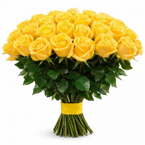 Розы Голландия желтые