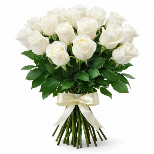 Розы Кения белые