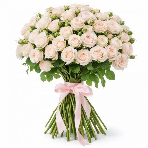 Розы Кустовые белые