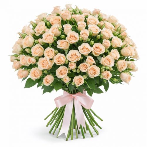 Розы Кустовые кремовые