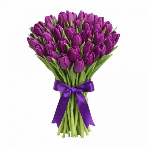 Тюльпаны фиолетовые