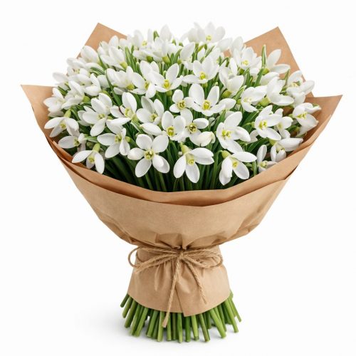 Монобукет «Снежная Грация»